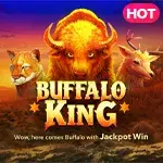 Buffalo King